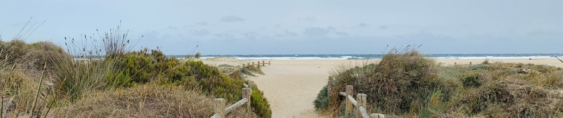Playa de los Genoveses