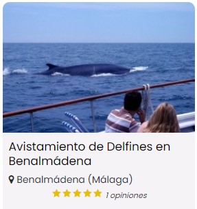 avistamiento de delfines en Benalmádena