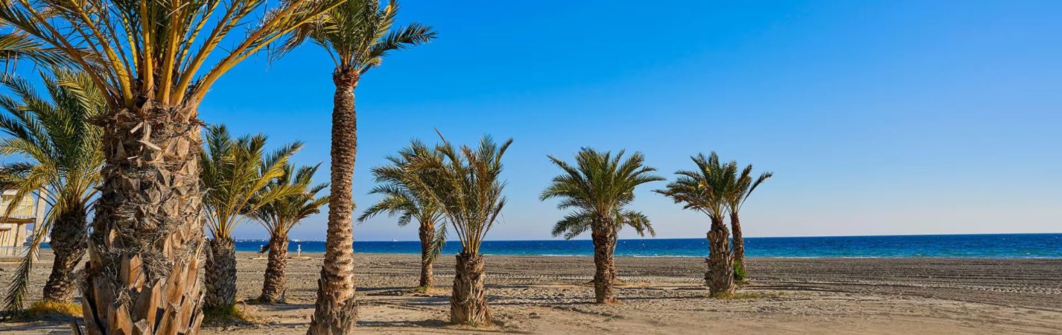 playa tamarit santa pola