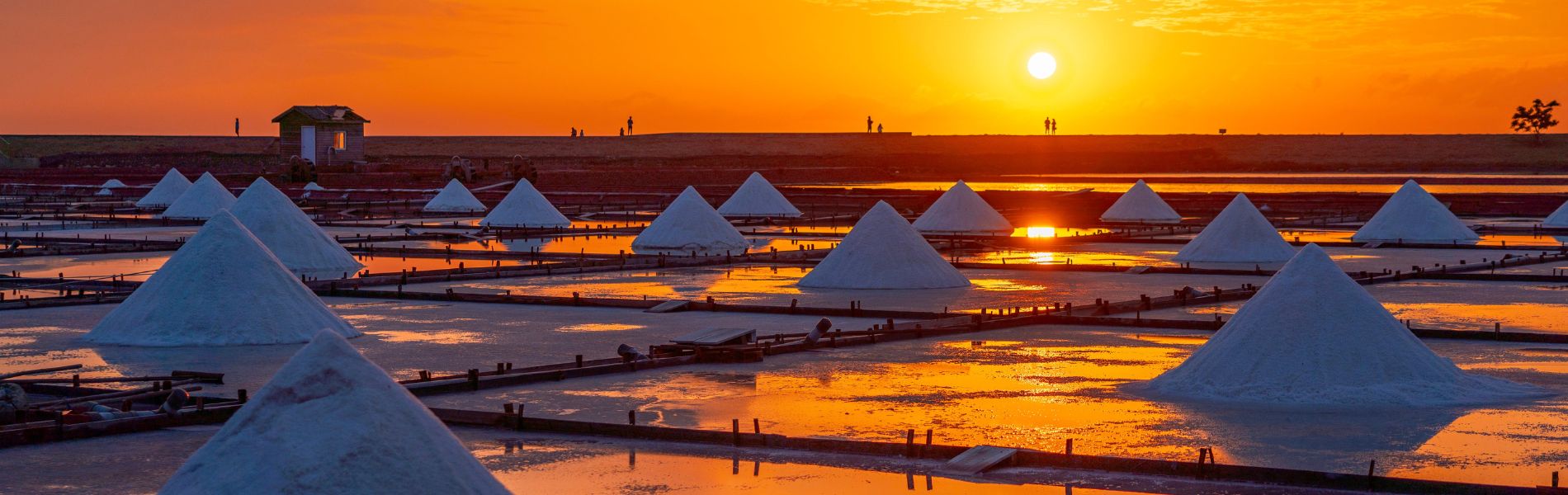 Salinas Naturales, Tenerife | Marinalia.es