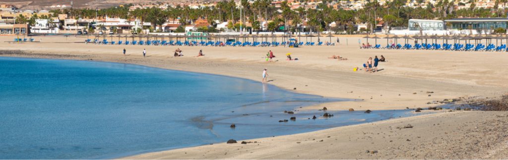 Playa de La Caleta en Fuerteventura con arena dorada, aguas turquesas y tumbonas bajo palmeras