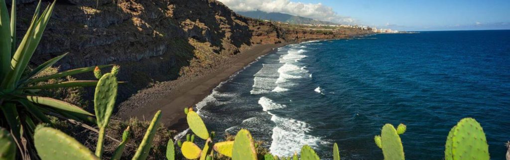 Playa Los Patos en Tenerife con arena negra volcánica, acantilados y cactus en primer plano bajo cielo azul