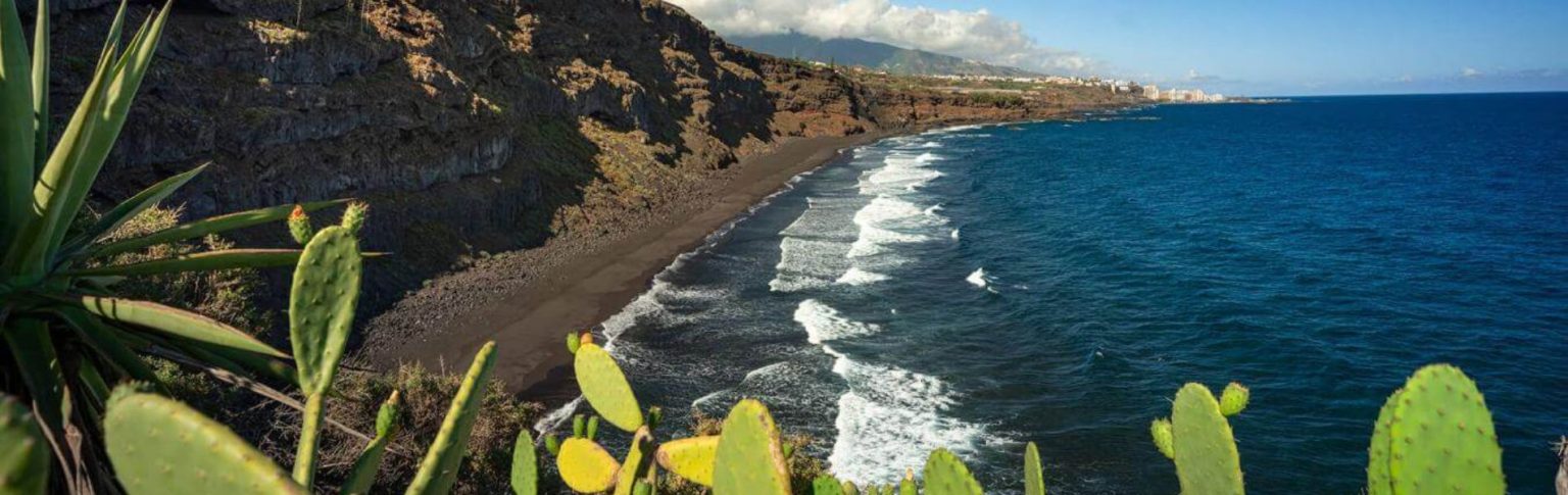Playa Los Patos en Tenerife con arena negra volcánica, acantilados y cactus en primer plano bajo cielo azul