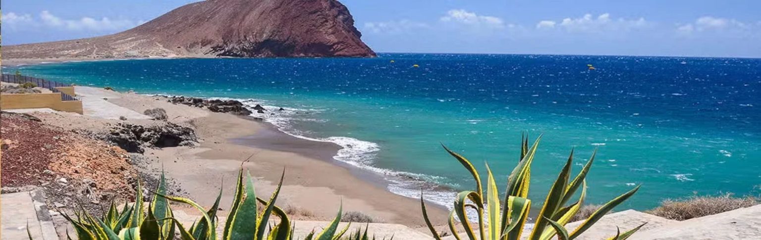 Playa de La Tejita en Tenerife con aguas turquesas, montaña roja El Médano y plantas de agave en primer plano